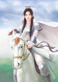 王牌少帅