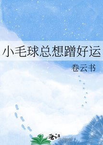 小毛球总想蹭好运