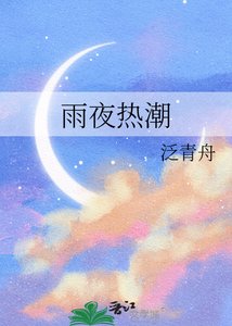 雨夜热潮